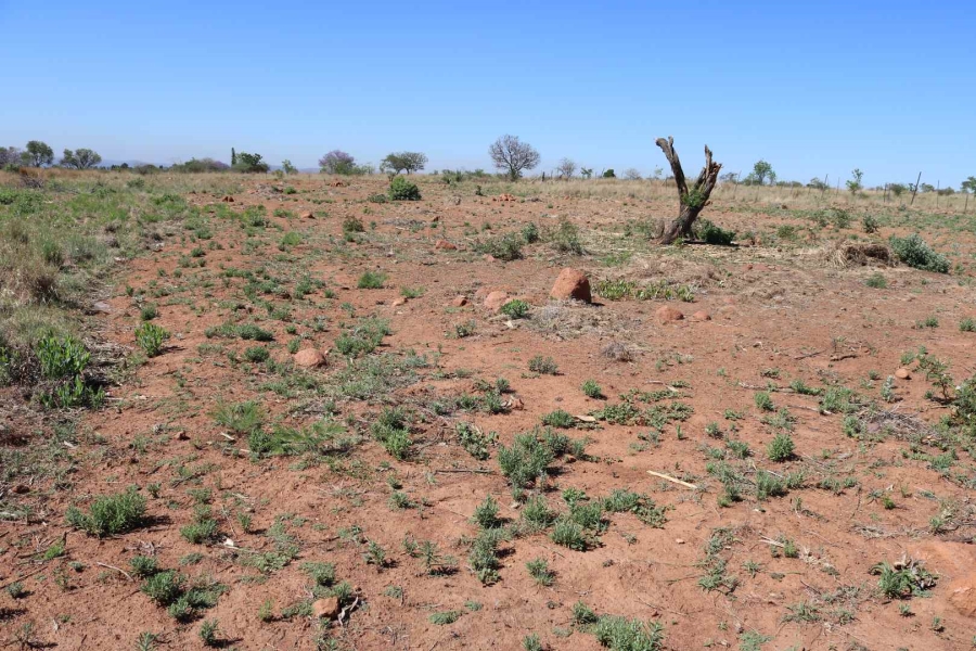 0 Bedroom Property for Sale in Honingnestkrans Gauteng