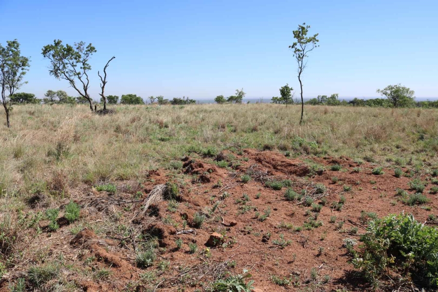 0 Bedroom Property for Sale in Honingnestkrans Gauteng