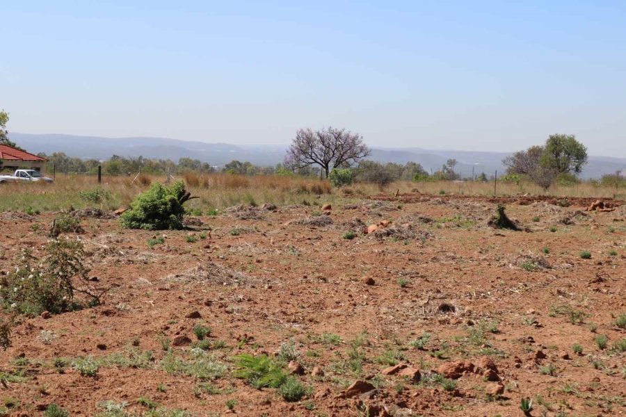0 Bedroom Property for Sale in Honingnestkrans Gauteng