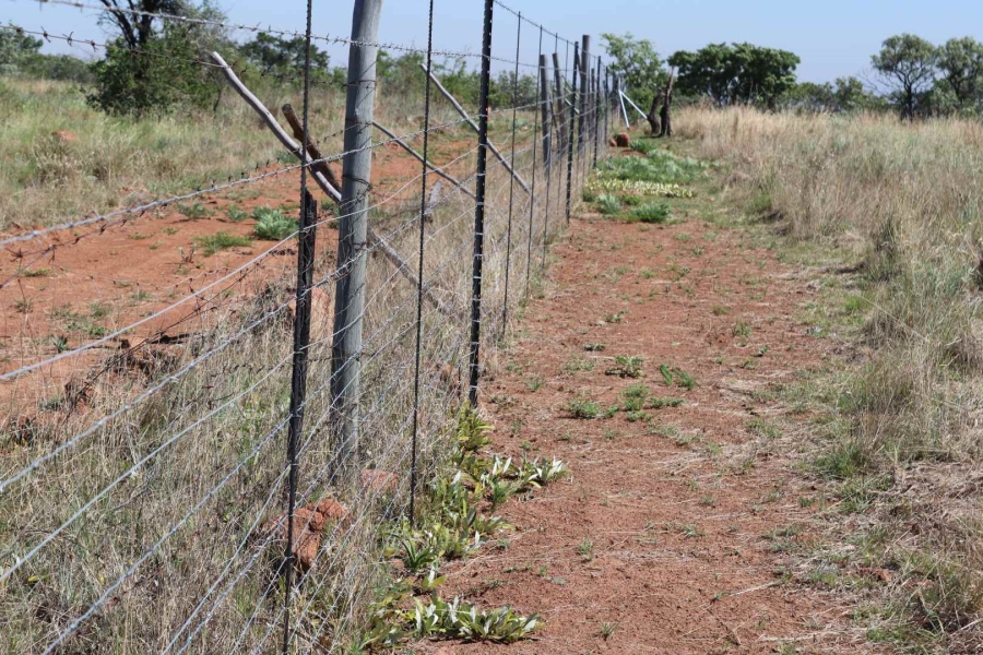 0 Bedroom Property for Sale in Honingnestkrans Gauteng