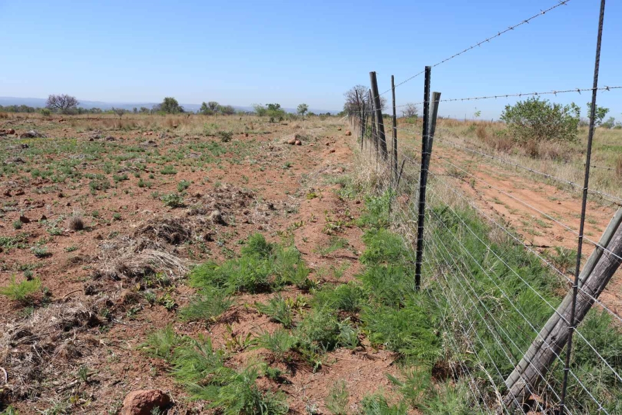 0 Bedroom Property for Sale in Honingnestkrans Gauteng