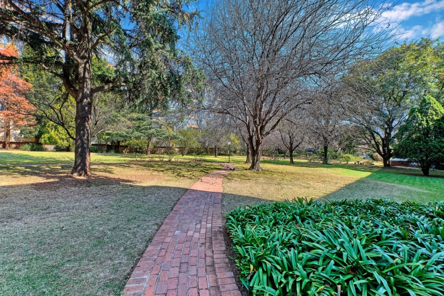 To Let 1 Bedroom Property for Rent in Parkmore Gauteng