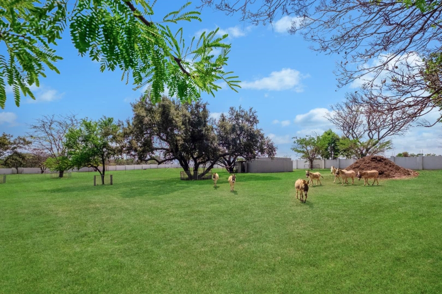 7 Bedroom Property for Sale in Lanseria Gauteng