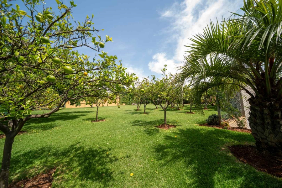 6 Bedroom Property for Sale in Benoni Small Farms Gauteng