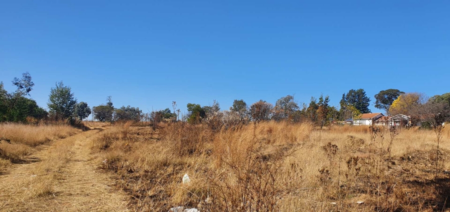 0 Bedroom Property for Sale in Ruimsig Gauteng