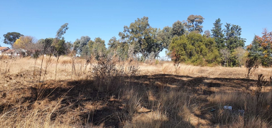 0 Bedroom Property for Sale in Ruimsig Gauteng