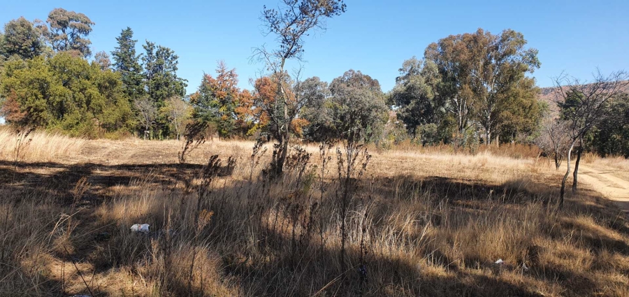 0 Bedroom Property for Sale in Ruimsig Gauteng