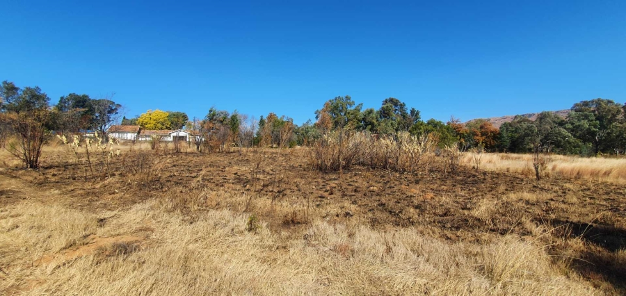 0 Bedroom Property for Sale in Ruimsig Gauteng