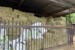 Commercial Property for Sale in Pretoria North Gauteng