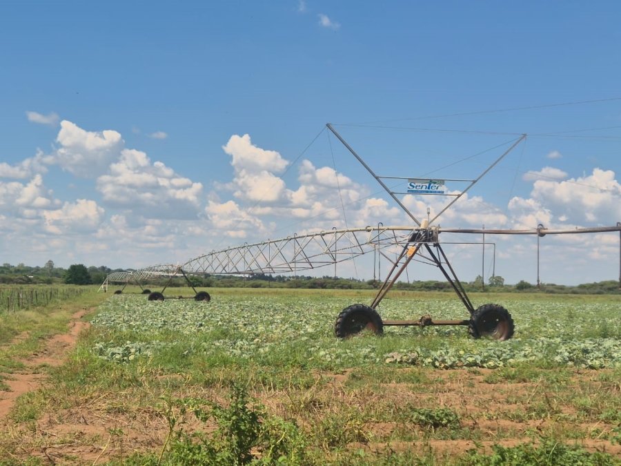 Commercial Property for Sale in Pretoria North Gauteng