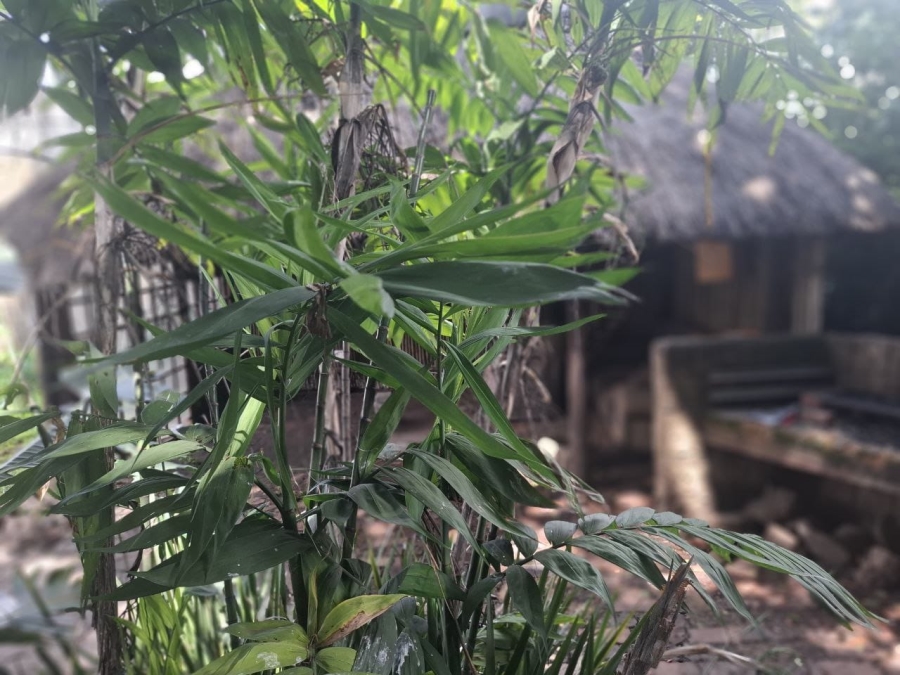 3 Bedroom Property for Sale in Wychwood Gauteng