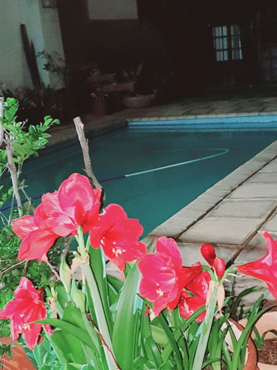 3 Bedroom Property for Sale in Wychwood Gauteng