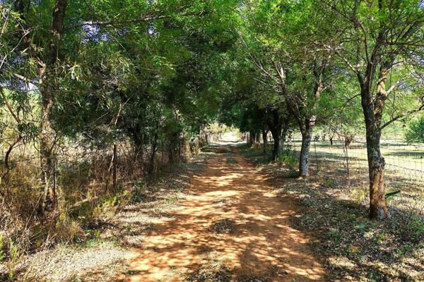 3 Bedroom Property for Sale in Cooperville Gauteng