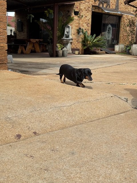 4 Bedroom Property for Sale in Esther Park Gauteng