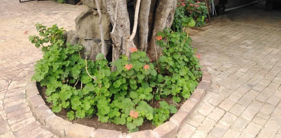 Commercial Property for Sale in Kromdraai Gauteng