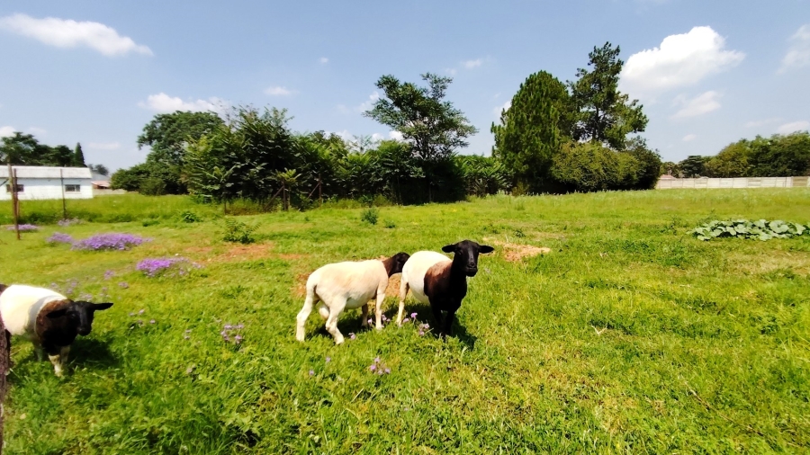 Commercial Property for Sale in Unitas Park Gauteng