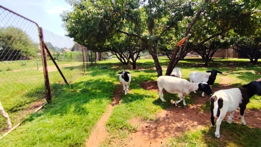 Commercial Property for Sale in Unitas Park Gauteng