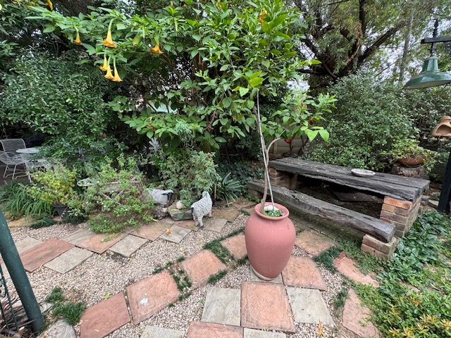 3 Bedroom Property for Sale in Van Riebeeck Park Gauteng