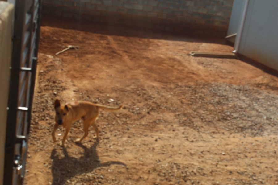 2 Bedroom Property for Sale in Lufhereng Gauteng