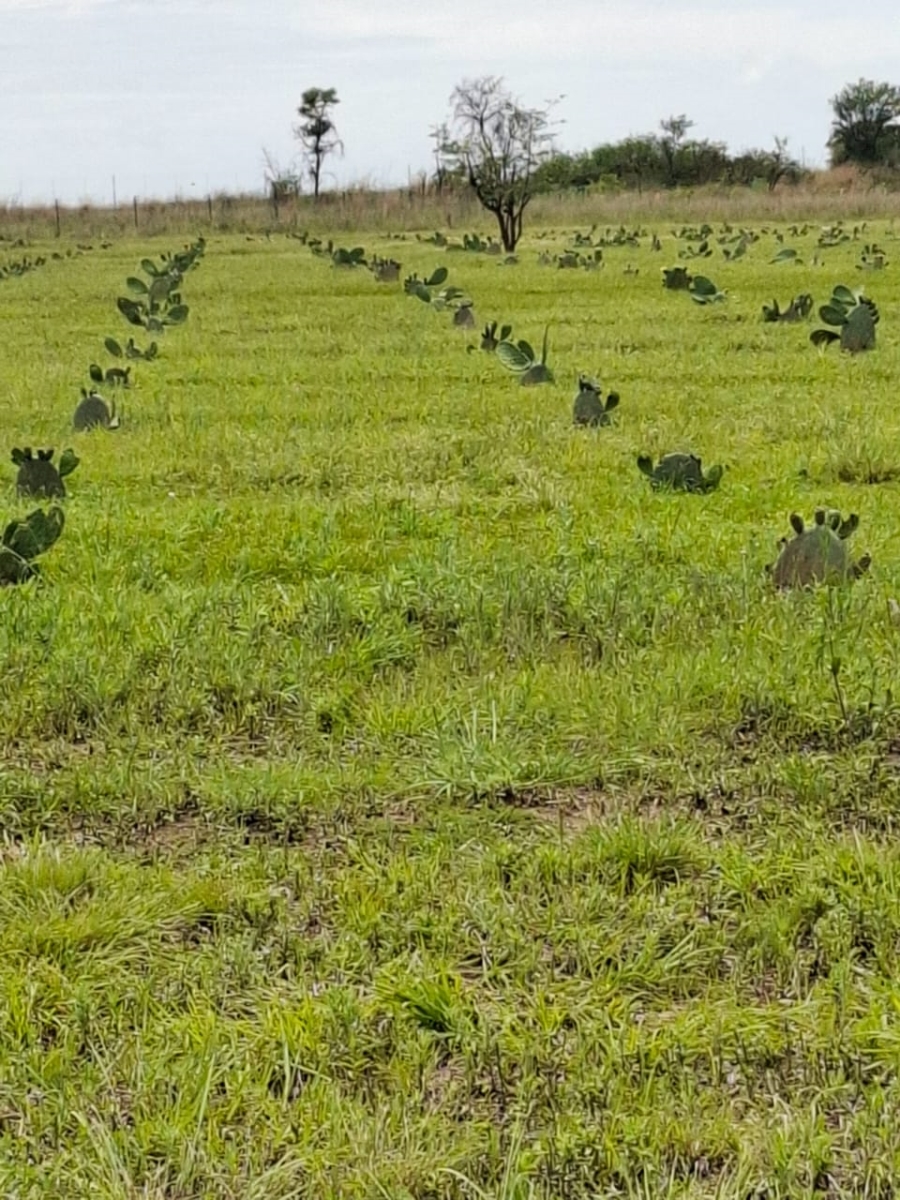 Commercial Property for Sale in Cullinan Gauteng