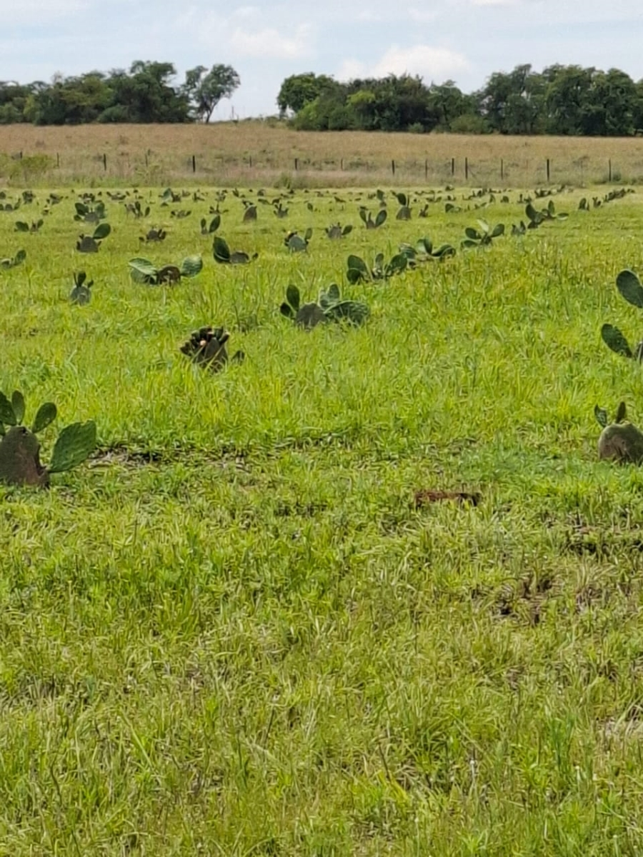 Commercial Property for Sale in Cullinan Gauteng