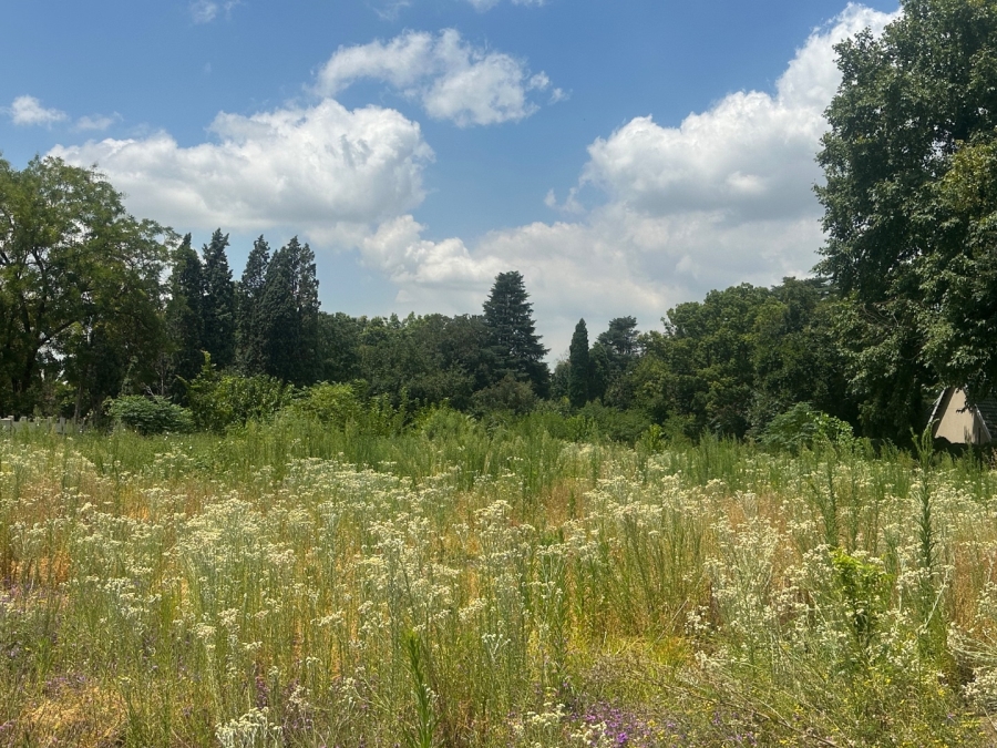 Commercial Property for Sale in Three Rivers Proper Gauteng