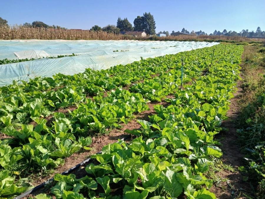 Commercial Property for Sale in Homestead Apple Orchards Gauteng