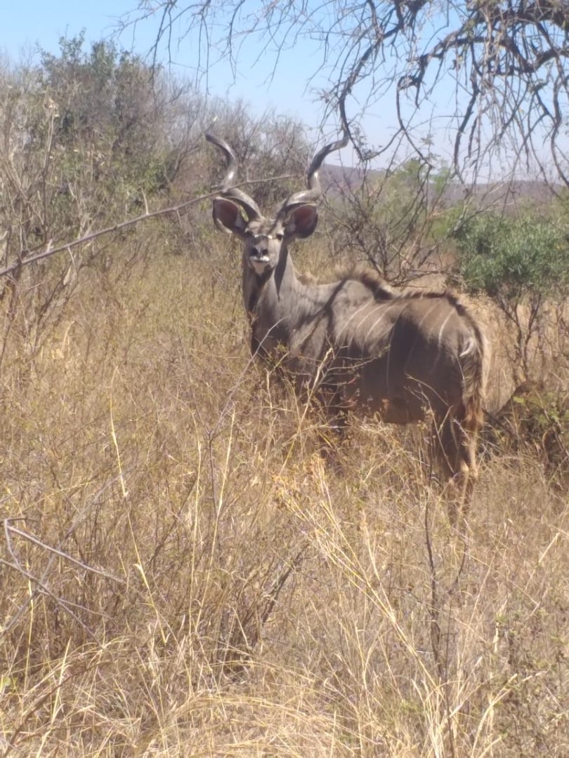 Commercial Property for Sale in Dinokeng Game Reserve Gauteng