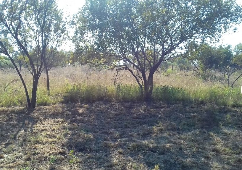 Commercial Property for Sale in Dinokeng Game Reserve Gauteng