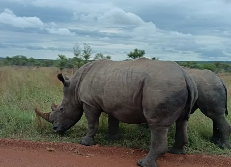 Commercial Property for Sale in Dinokeng Game Reserve Gauteng