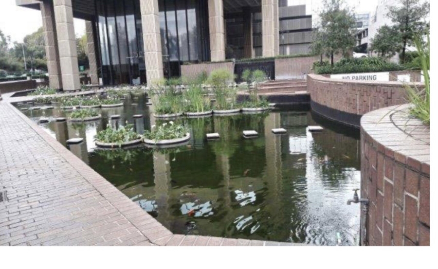 Commercial Property for Sale in Auckland Park Gauteng