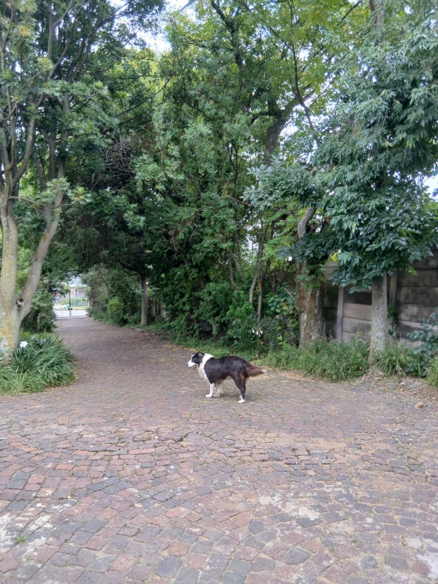 To Let 1 Bedroom Property for Rent in Waverley Gauteng