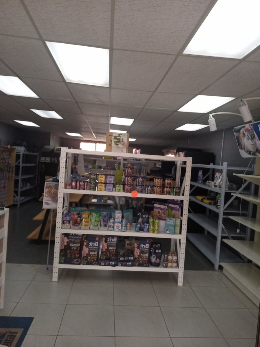 To Let commercial Property for Rent in Garsfontein Gauteng