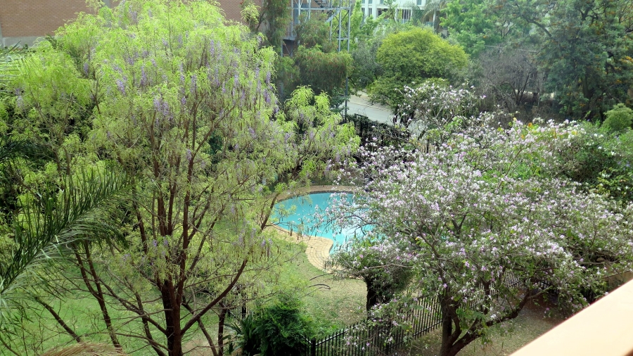 To Let  Bedroom Property for Rent in Pretoria Gauteng