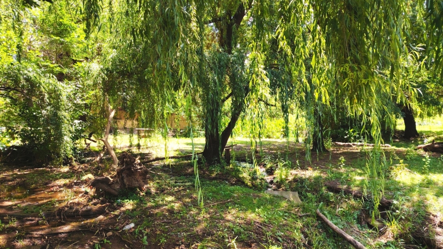 6 Bedroom Property for Sale in Kookrus Gauteng