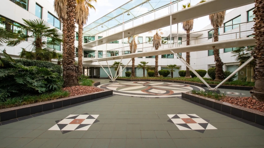 To Let commercial Property for Rent in Parktown North Gauteng