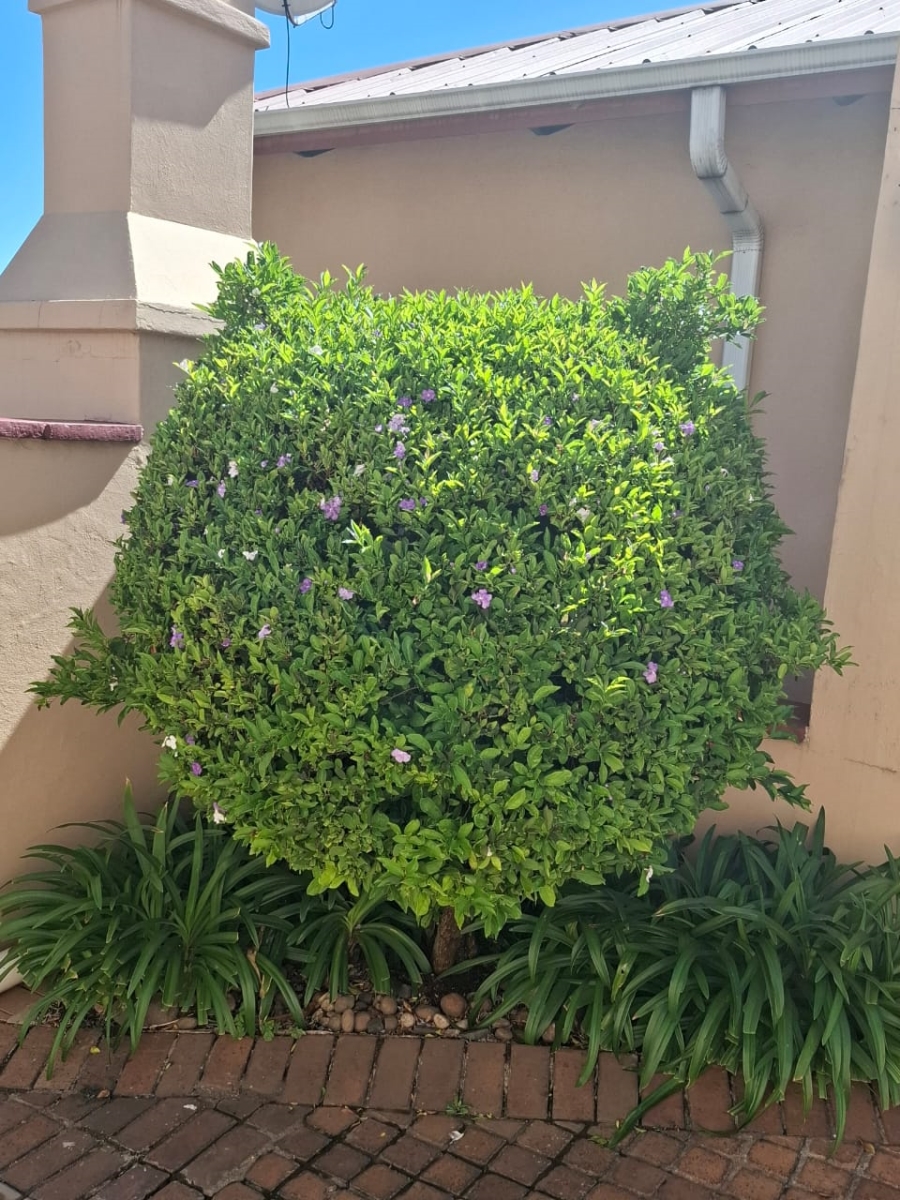 2 Bedroom Property for Sale in Terenure Gauteng