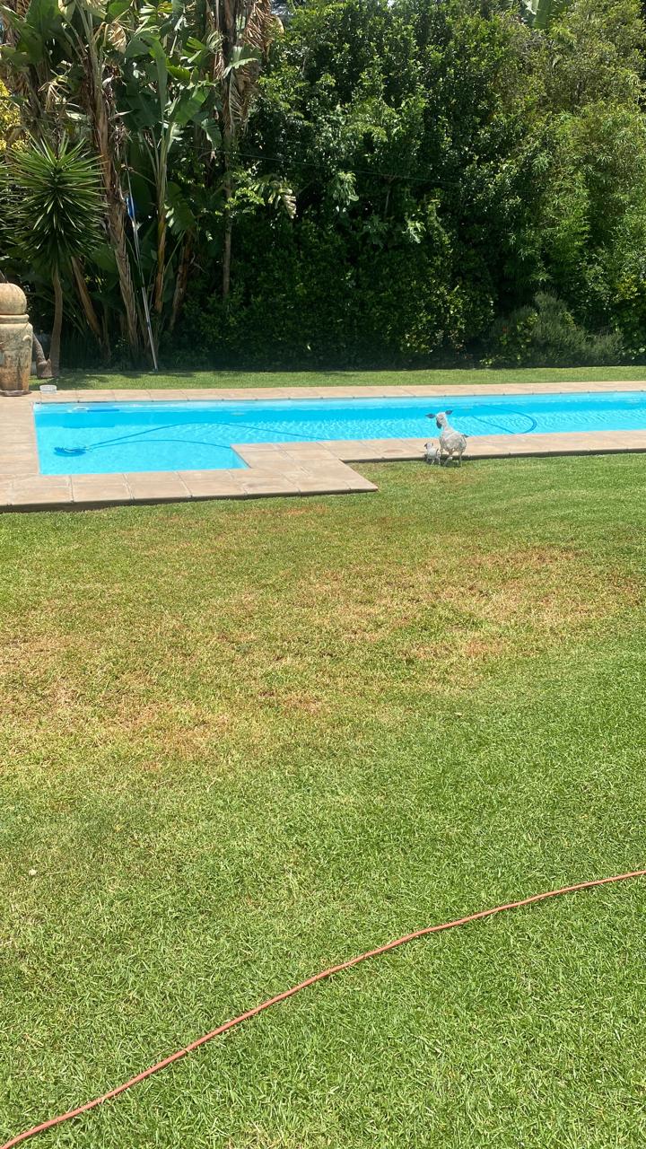 5 Bedroom Property for Sale in Waterkloof Ridge Gauteng