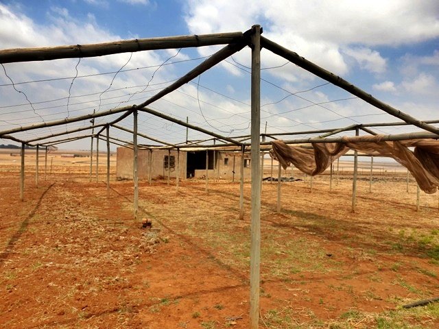 Commercial Property for Sale in Endicott Gauteng