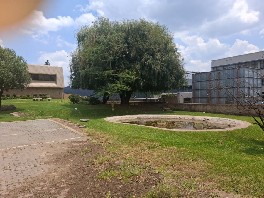 To Let commercial Property for Rent in Spartan Gauteng