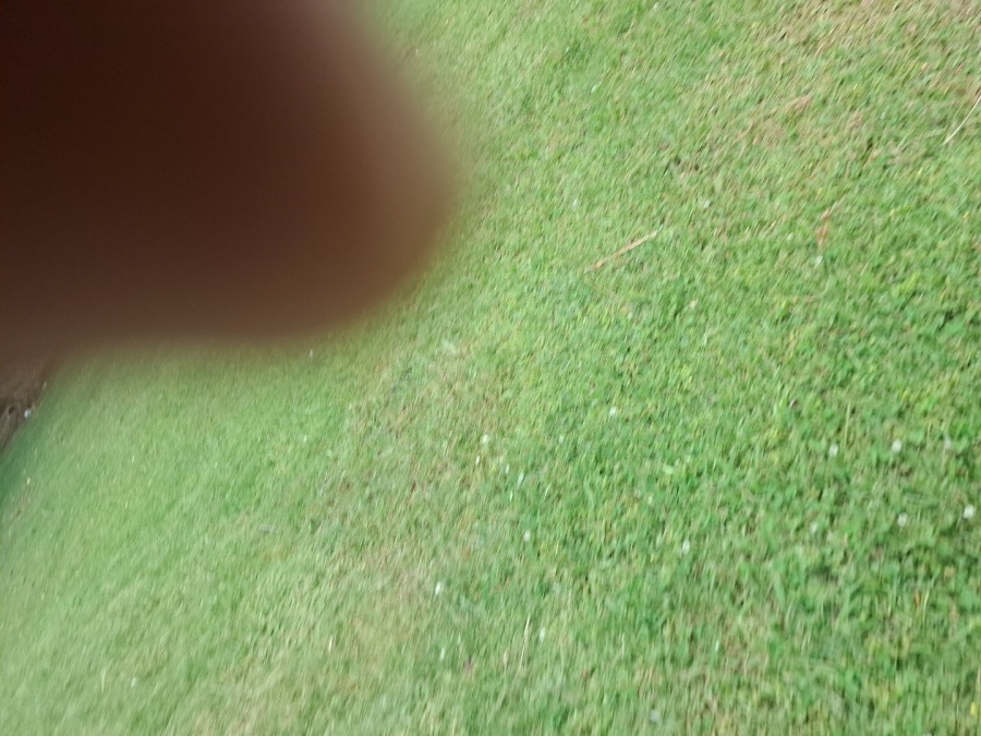 To Let commercial Property for Rent in Spartan Gauteng