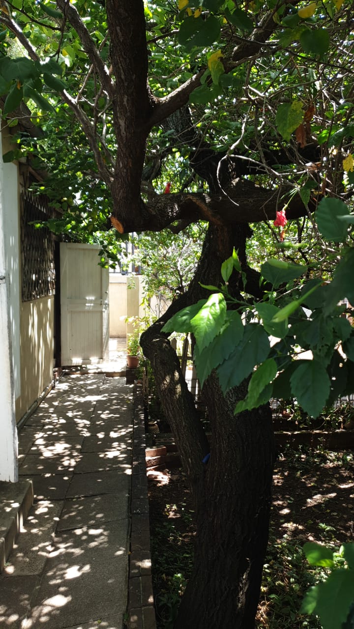 2 Bedroom Property for Sale in Kensington Gauteng