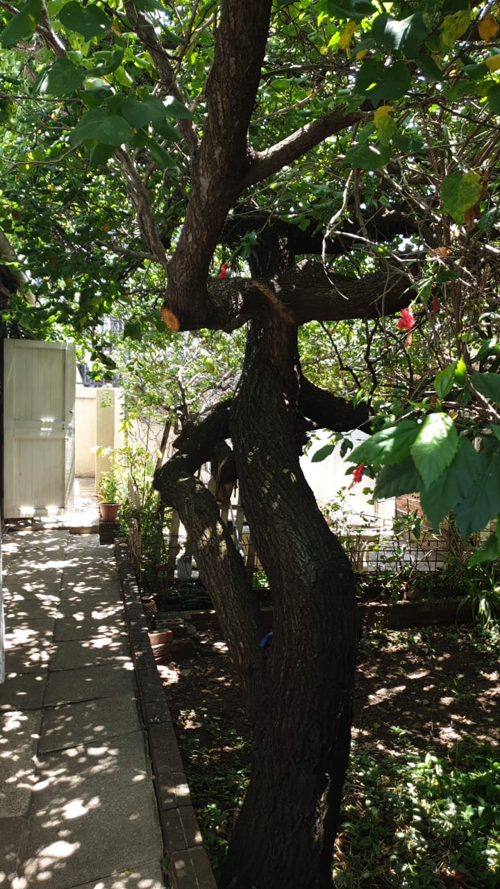 2 Bedroom Property for Sale in Kensington Gauteng