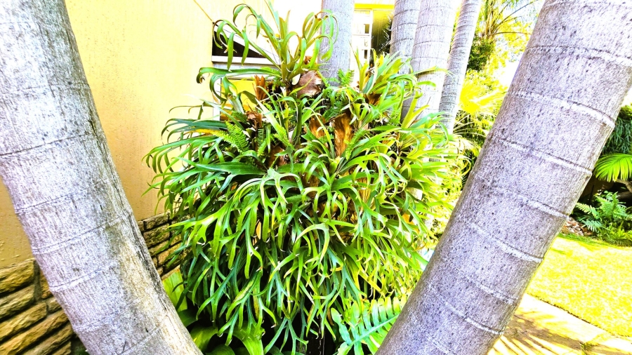  Bedroom Property for Sale in Brummeria Gauteng