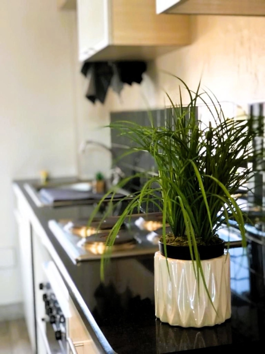 To Let 1 Bedroom Property for Rent in Lynnwood Gauteng