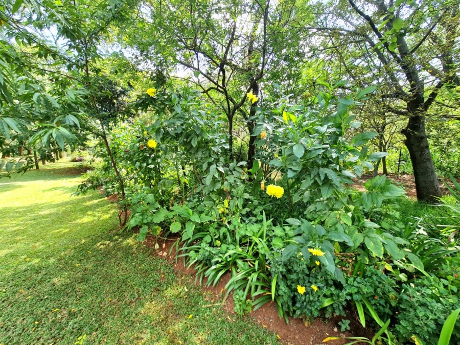 Commercial Property for Sale in Donkerhoek AH Gauteng