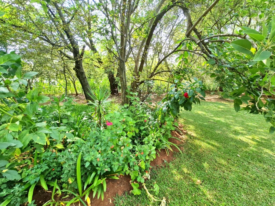 Commercial Property for Sale in Donkerhoek AH Gauteng