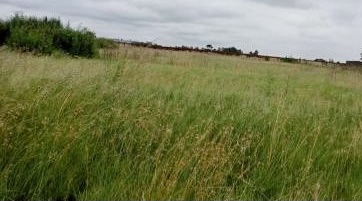 Commercial Property for Sale in Springs Central Gauteng