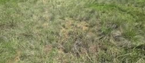 Commercial Property for Sale in Springs Central Gauteng