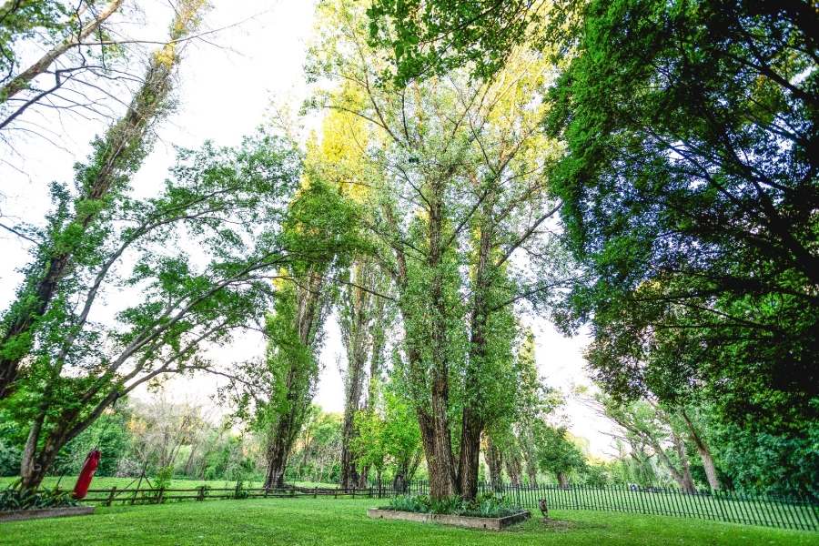 4 Bedroom Property for Sale in Henley on Klip Gauteng